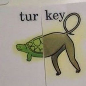 Meet your Posher, Commander